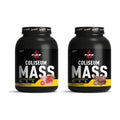 Fire Nutrition Coliseum Mass